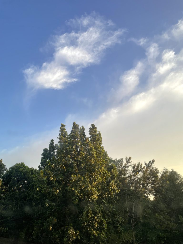 Sebuah Bagasi Bernama Emosi