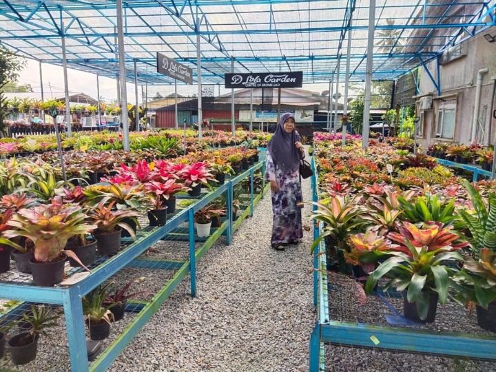 ستله برسارا