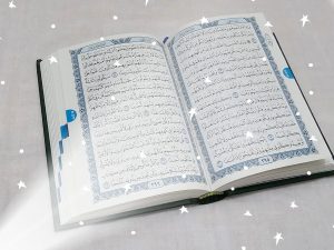 ڤوتيه يڠ ممادم ڤودر